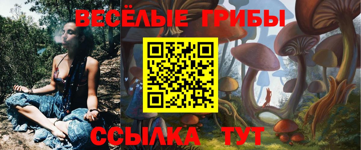 Галлюциногенные грибы ЛСД  Вход с VPN  Тавда 