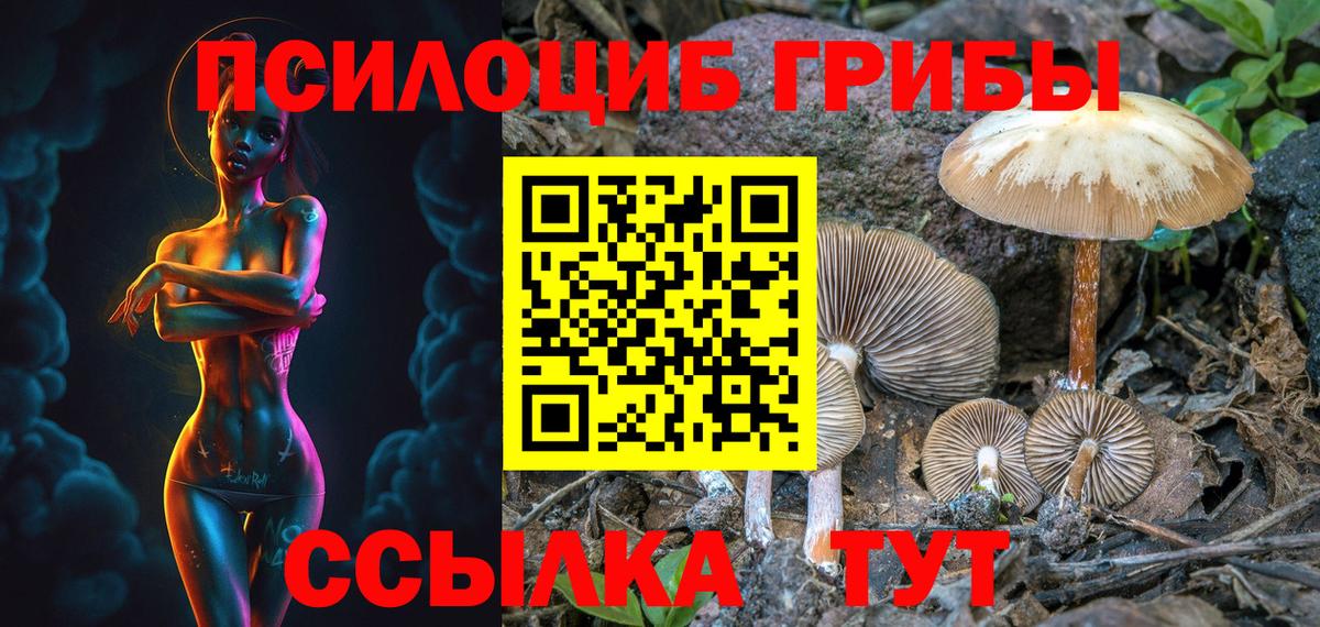 Псилоцибиновые грибы мухоморы Тавда